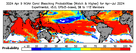 Current Bleaching Heat Stress Outlook Probability - Watch and higher
