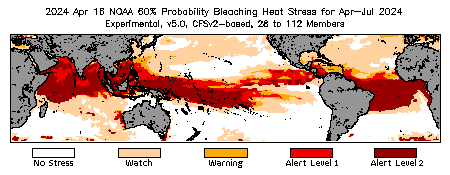 Bleaching Outlook - 60% probability