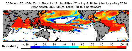 Current Bleaching Heat Stress Outlook Probability - Warning and higher