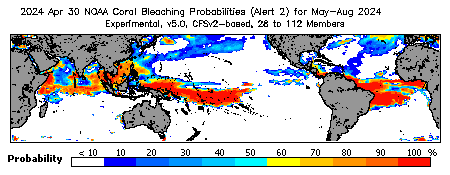 Current Bleaching Heat Stress Outlook Probability - Alert Level 2