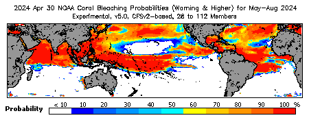 Current Bleaching Heat Stress Outlook Probability - Warning and higher