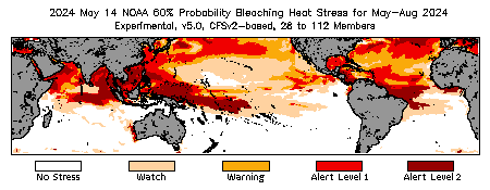 Bleaching Outlook - 60% probability
