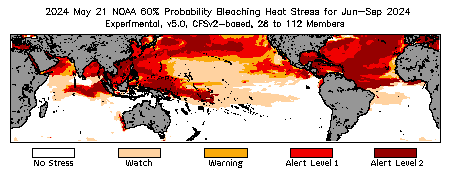 Bleaching Outlook - 60% probability