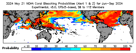 Current Bleaching Heat Stress Outlook Probability - Alert Levels 1 and 2