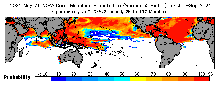 Current Bleaching Heat Stress Outlook Probability - Warning and higher