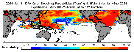 Current Bleaching Heat Stress Outlook Probability - Warning and higher