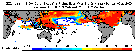 Current Bleaching Heat Stress Outlook Probability - Warning and higher