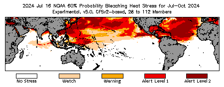 Bleaching Outlook - 60% probability