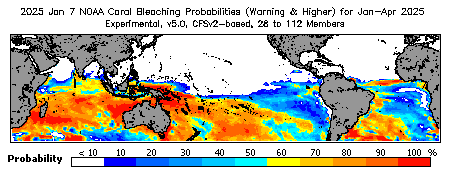 Current Bleaching Heat Stress Outlook Probability - Warning and higher