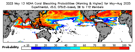 Current Bleaching Heat Stress Outlook Probability - Warning and higher