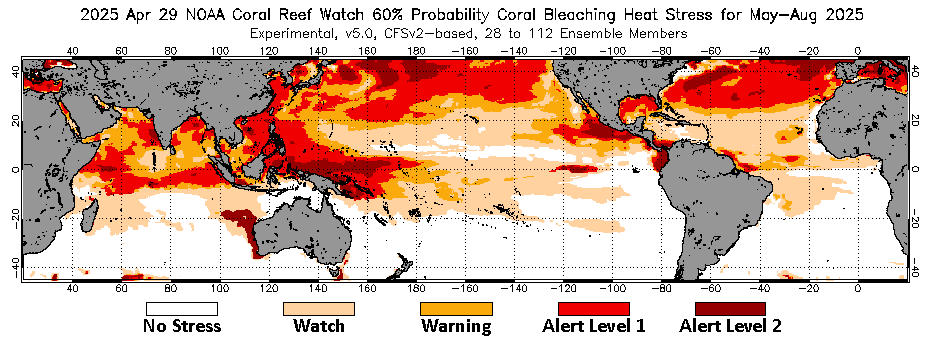 Current weekly global 60% Probability 4-Month Coral Bleaching Heat Stress Outlook image