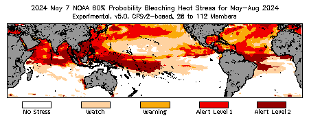 Current Four-Month Bleaching Outlook - 60% probability