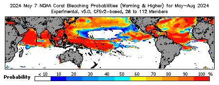 Current Four-Month Bleaching Heat Stress Outlook Probability - Warning and higher